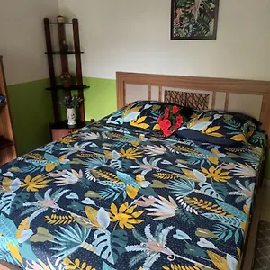Bed & Breakfast Lovely Flowers In Mount Lavinia, Dehiwala-Mount Lavinia